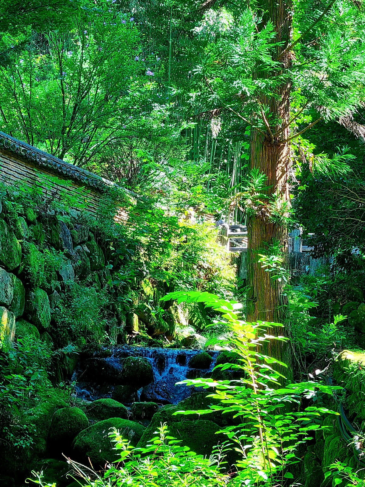 경남 하동 쌍계사: 맑은 계곡이 흐르는 지리산의 절