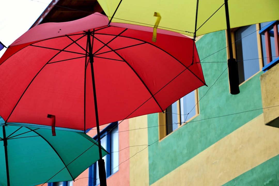 Yellow Umbrella