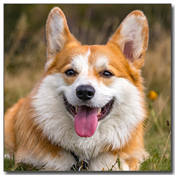 ์๊ณ ์๋ ์ฐ์์ฝ๊ธฐ