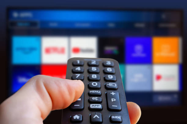 TV 수신료