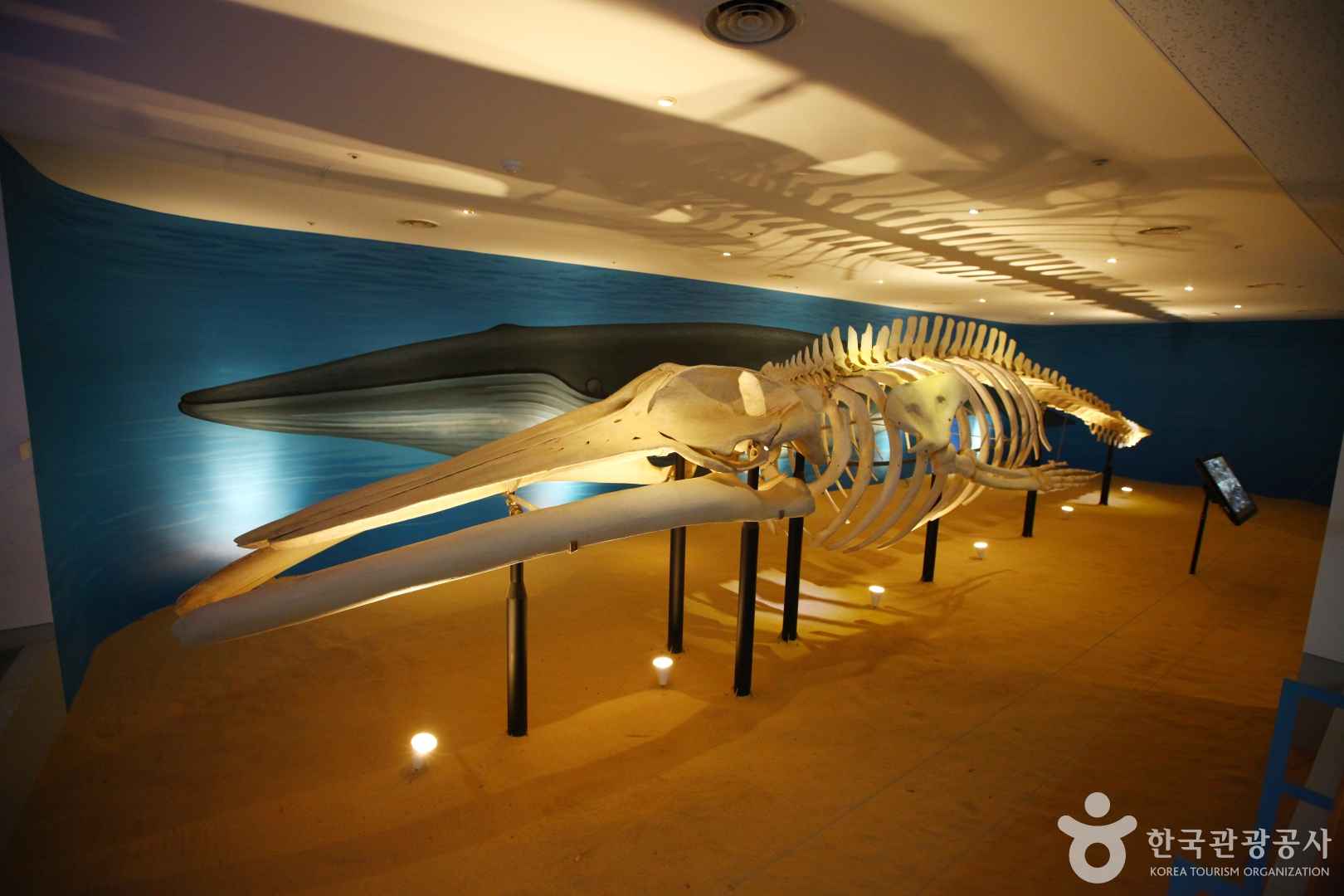 제주도민속자연사박물관