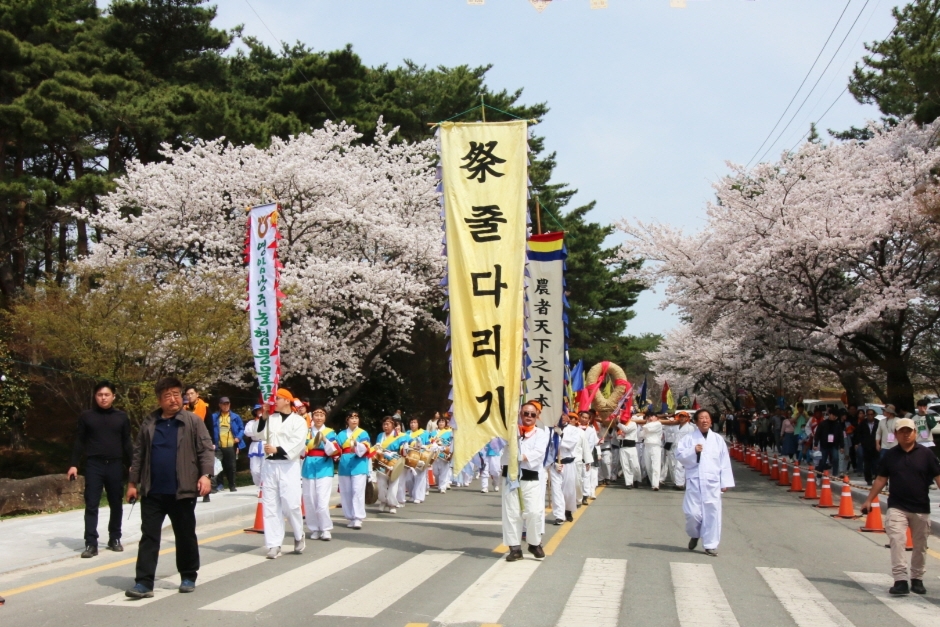 2024 영암왕인문화축제 기본일정과 프로그램 소개 및 초대가수 (양지은 박구윤 김필 김나영 출연)