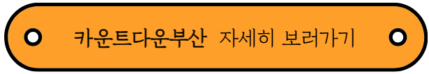 2025년 연말 축제 및 2026년 해돋이 행사 소개