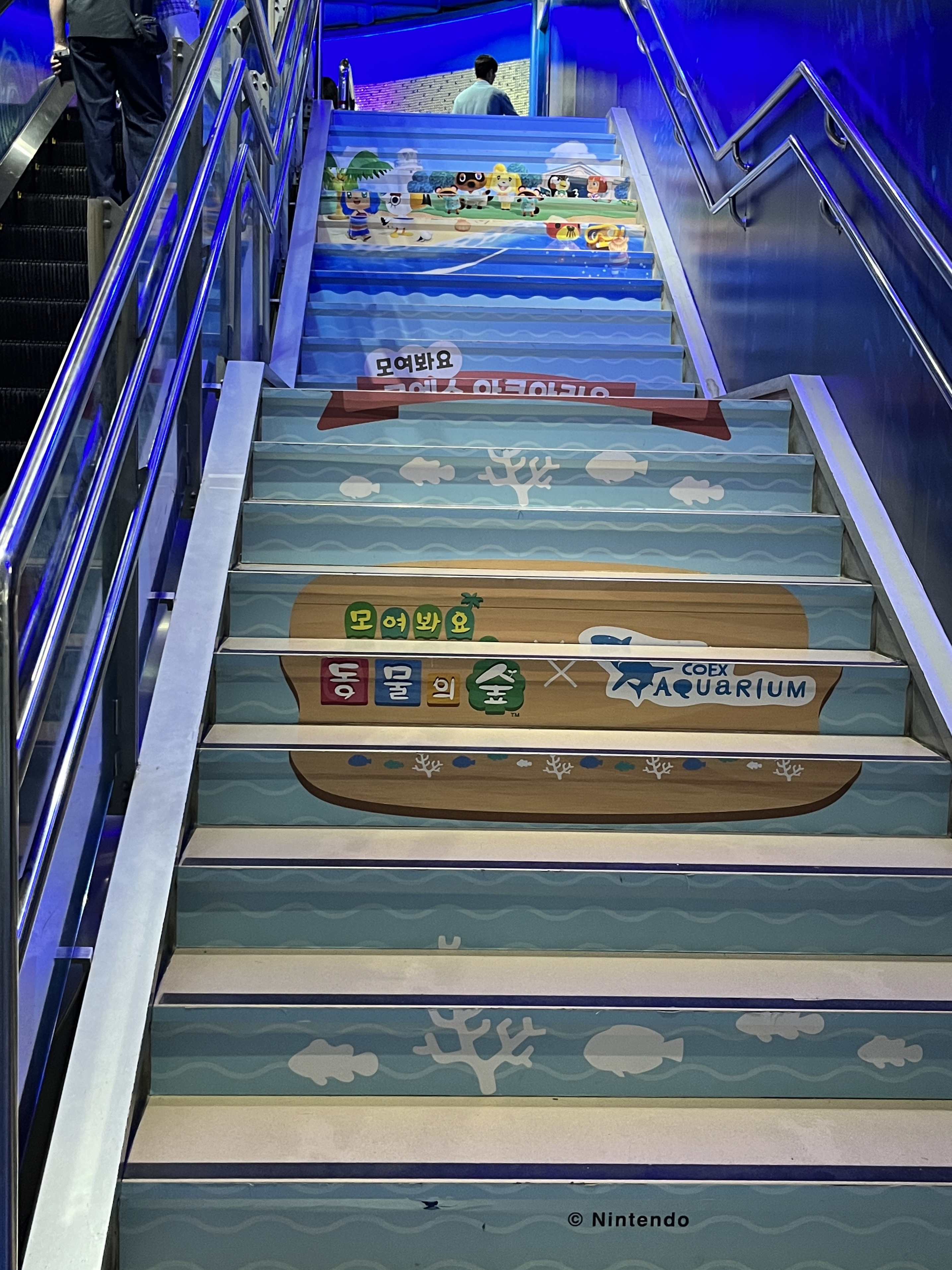 코엑스 아쿠아리움 동물의숲