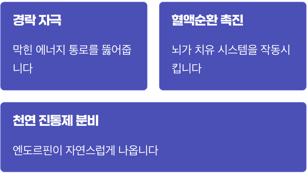 침, 우리 몸의 스위치를 켜다