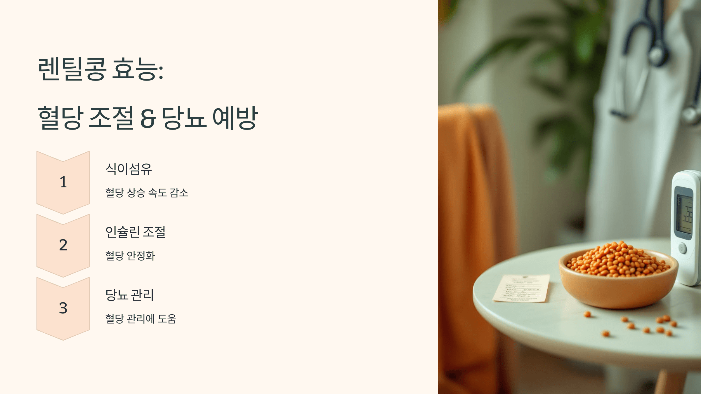 렌틸콩 사진입니다.