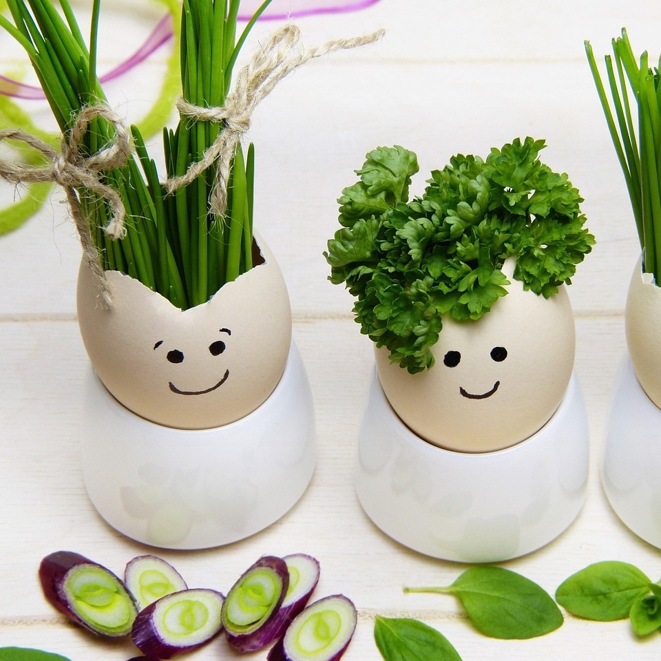 40대여성 다이어트 식단 구성 단백질, 탄수화물,지방