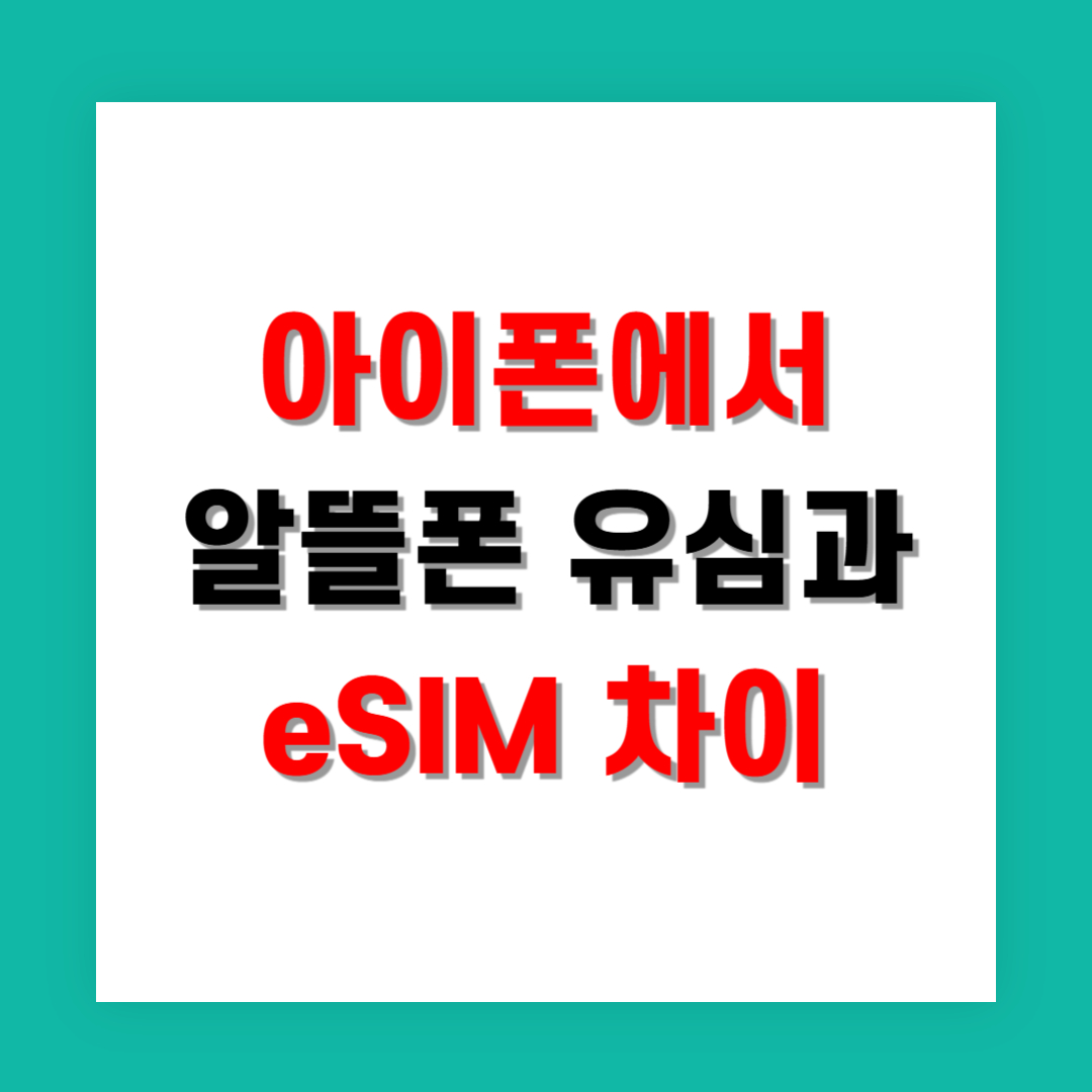 아이폰에서 알뜰폰 유심과 eSIM 차이