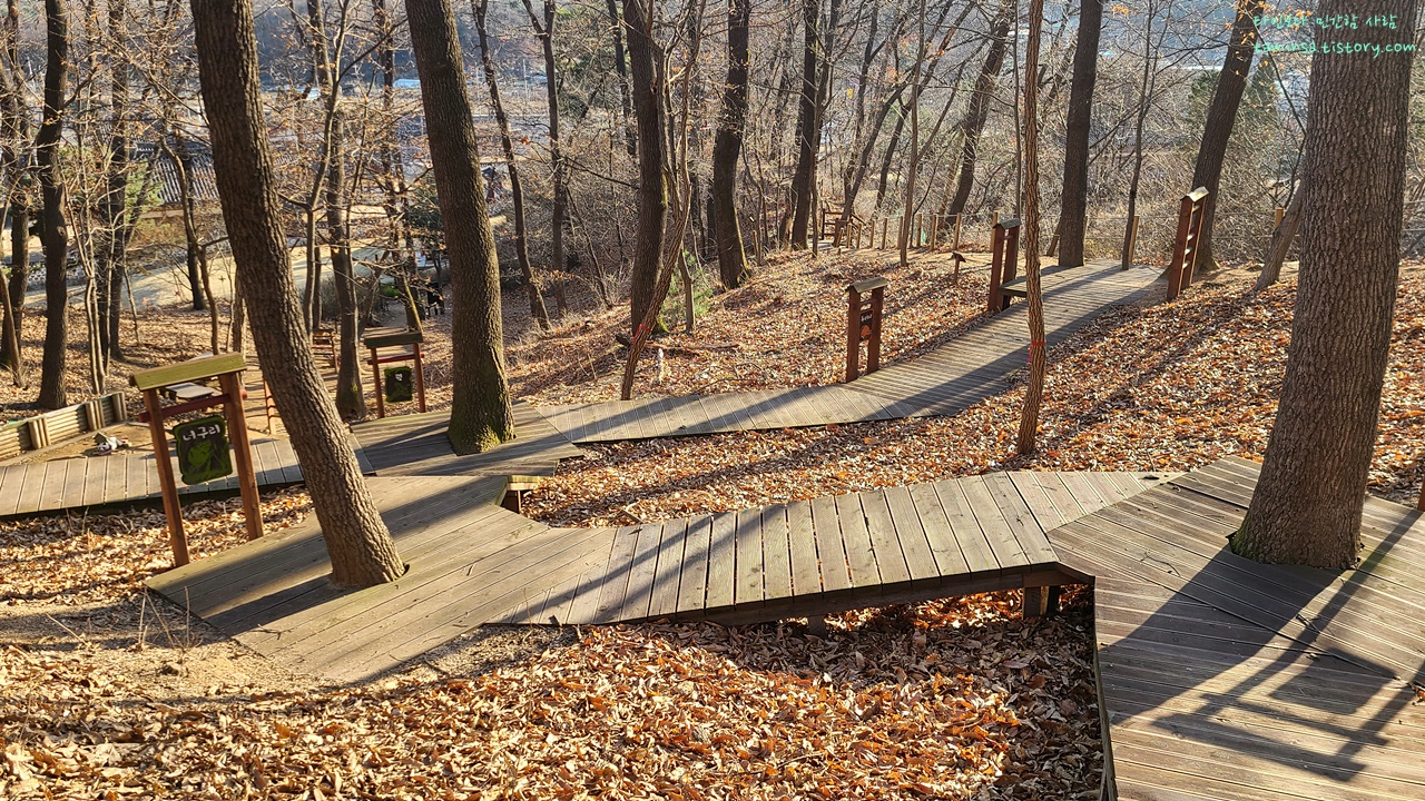 불곡산도토리유아숲체험원