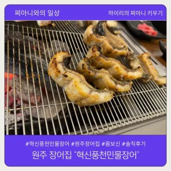 민물장어 가격 효능 민물장어 바다장어 차이 종류_2
