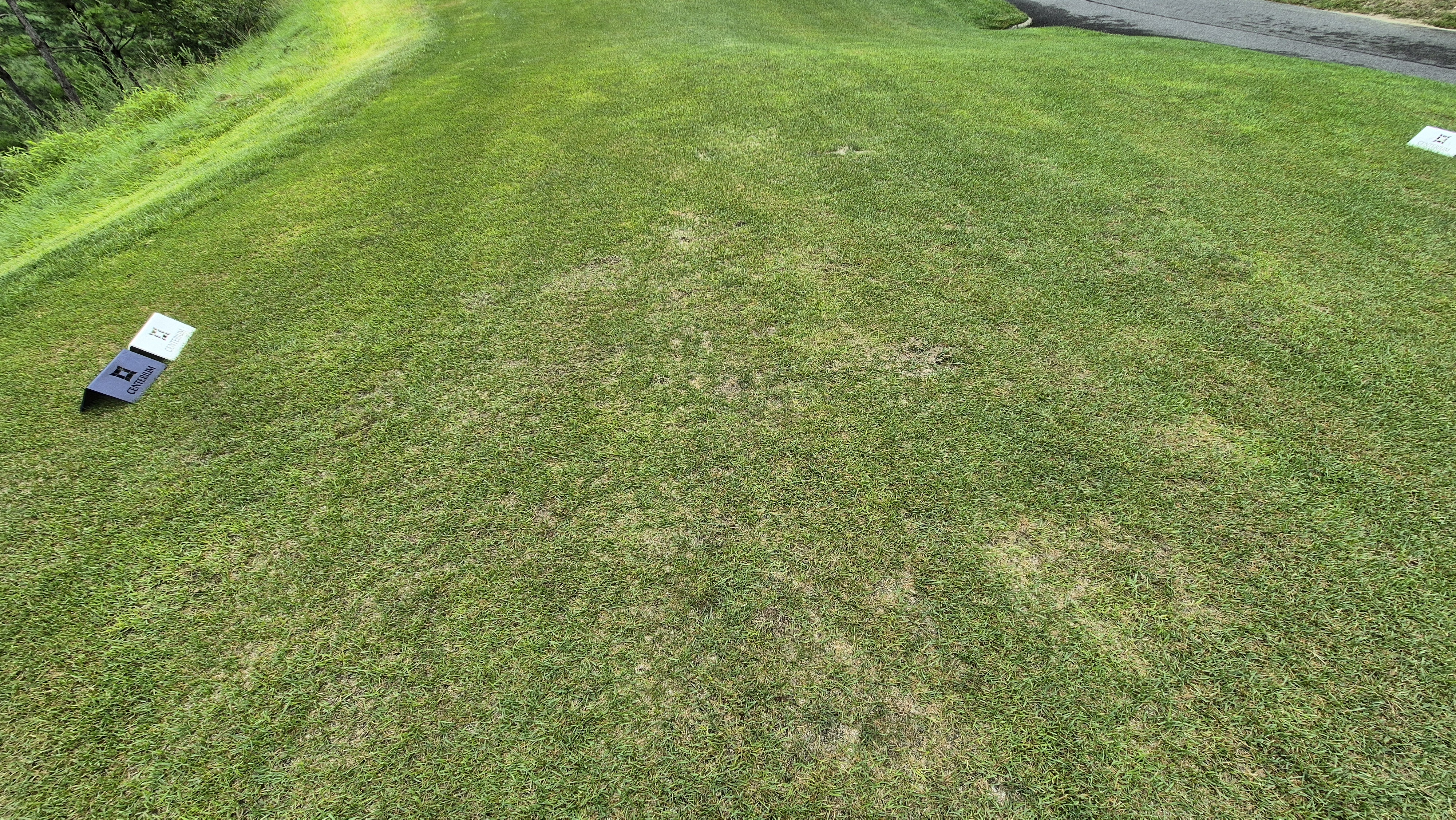 센테리움cc 스코틀랜드-웨일즈 코스 라운드 후기