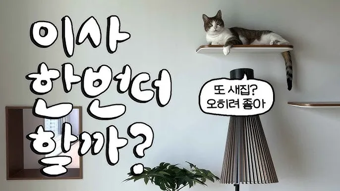 &amp;quot;고양이