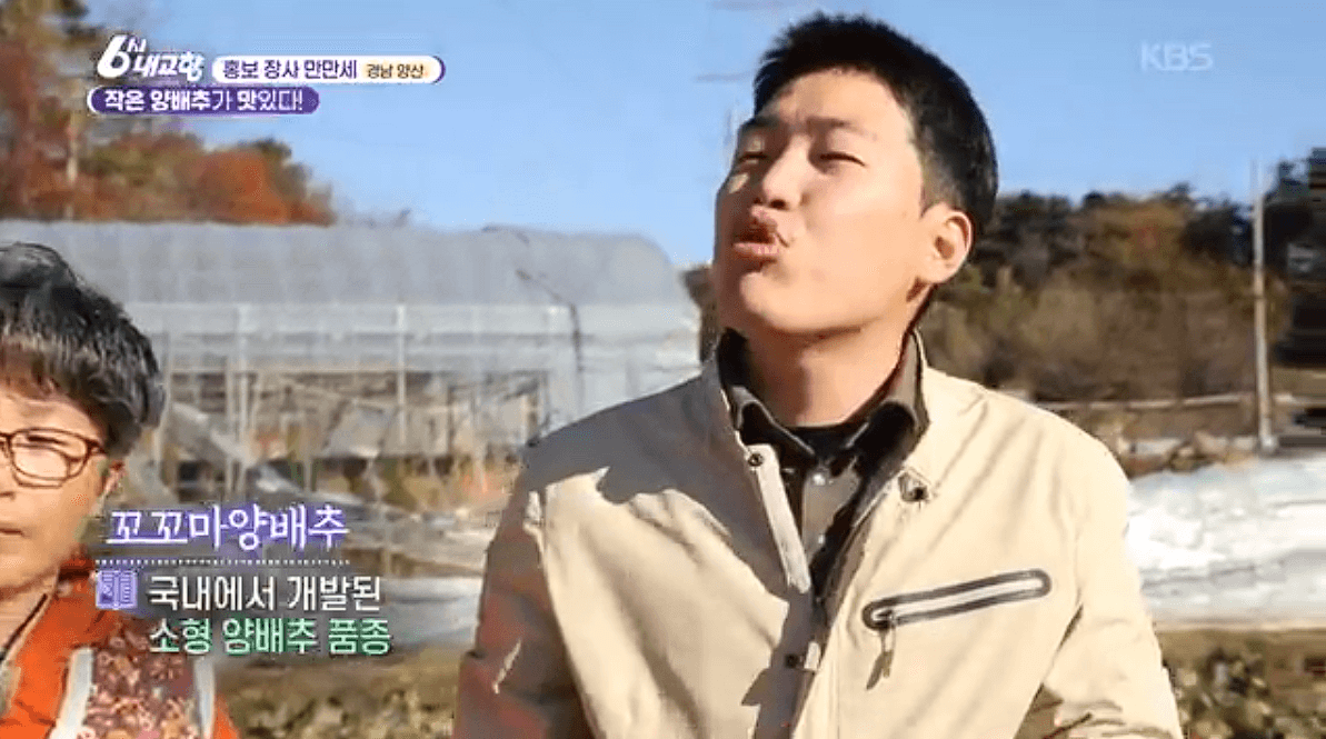 [6시내고향] 경남 양산 소형 양배추 명촌농원 스마트스토어 택배 판매처 정보를 설명하는 이미지