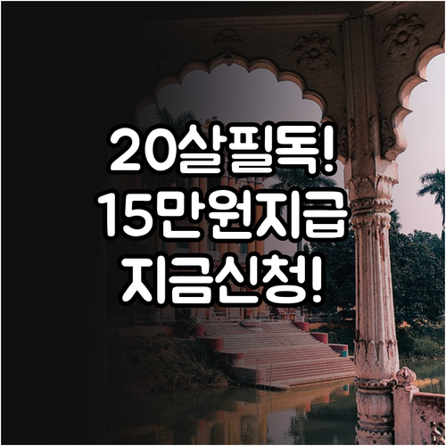 스무 살 청년문화예술패스 15만 원 ..