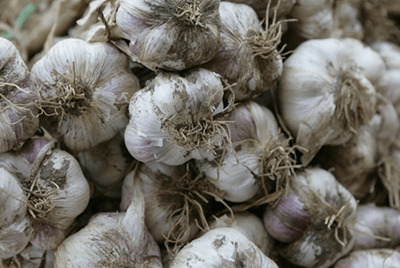 구우면좋은음식30