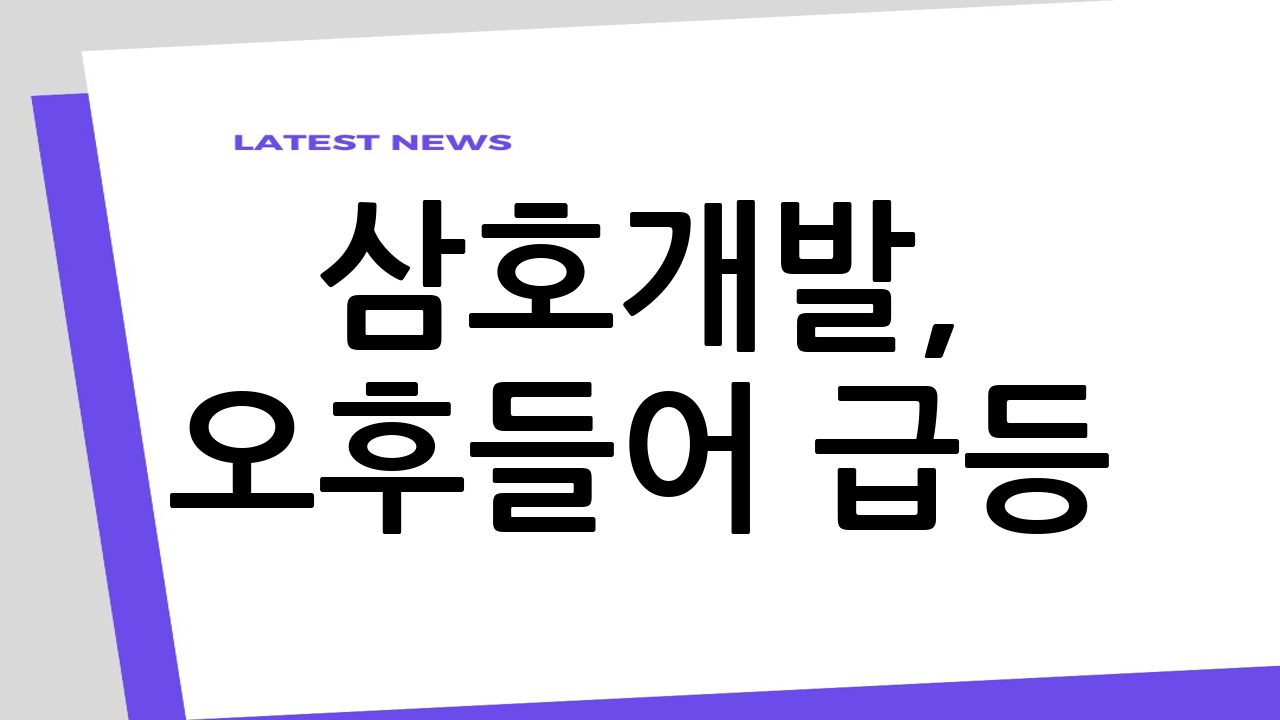 삼호개발, 오후들어