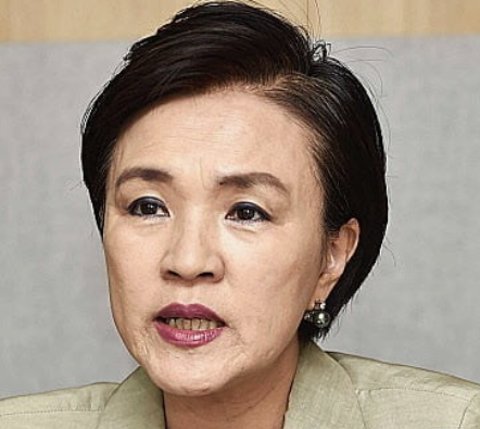 강금실 법조 경력 우리법 연구회