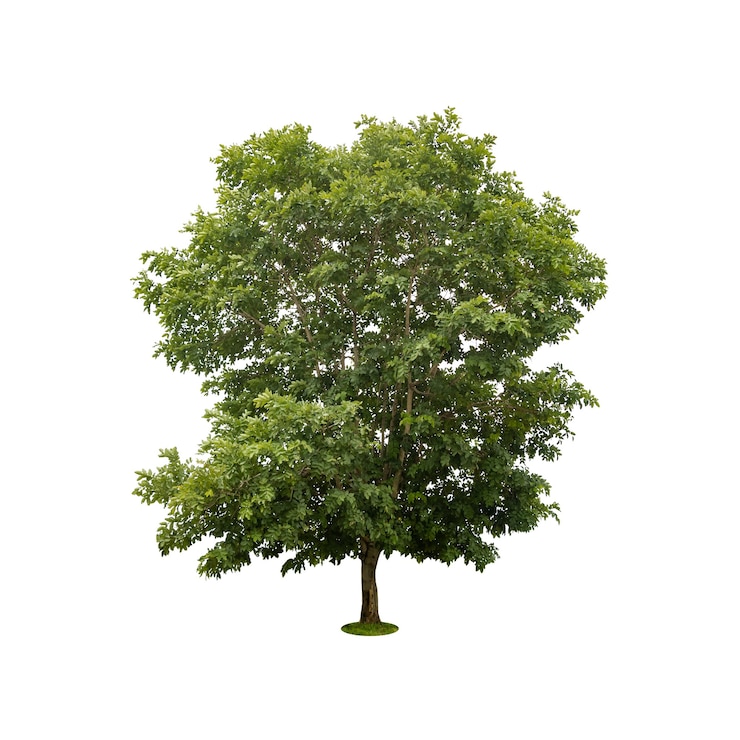 etc-image-19