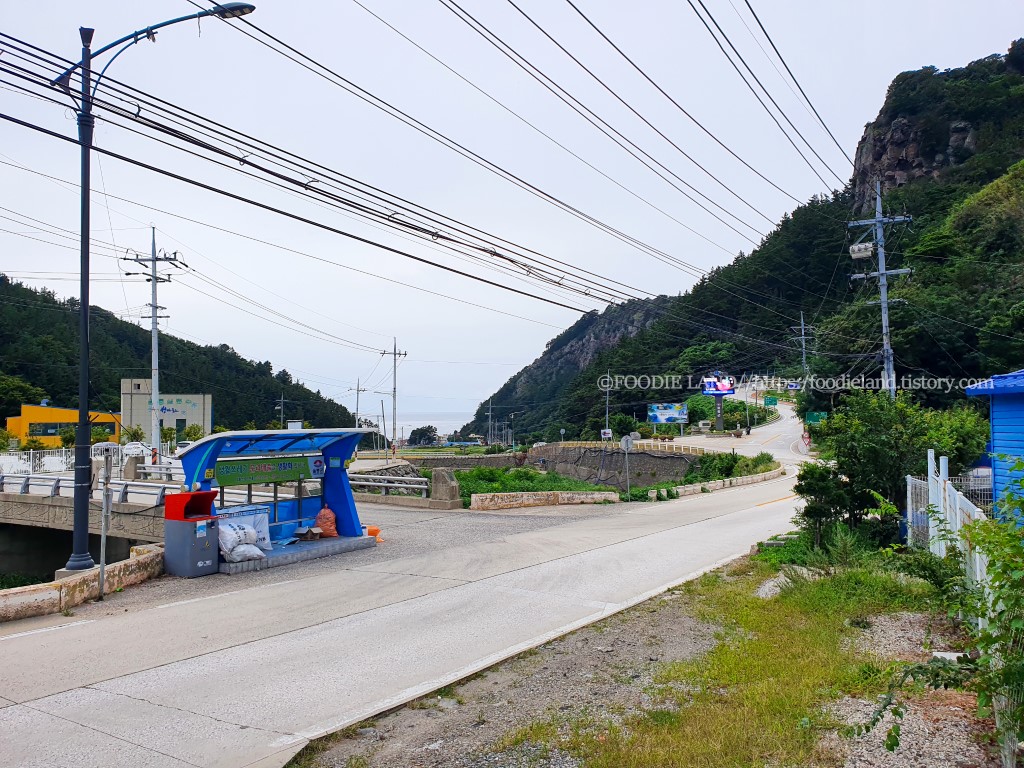 울릉도 카페 래우