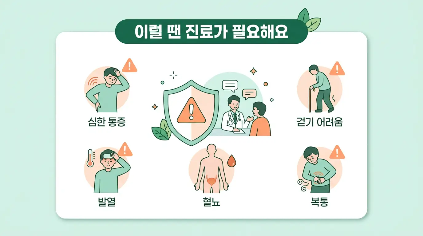 사타구니 통증 의학 주의 안내