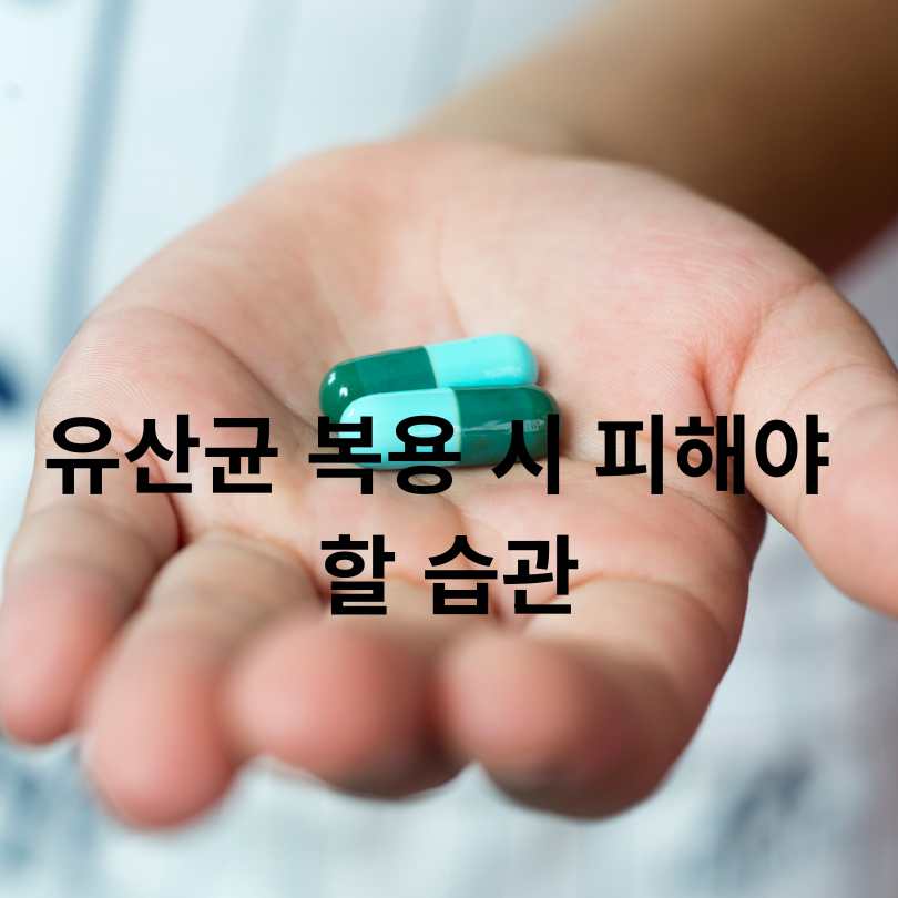 유산균 복용시간별 효과 차이와 올바른 섭취법