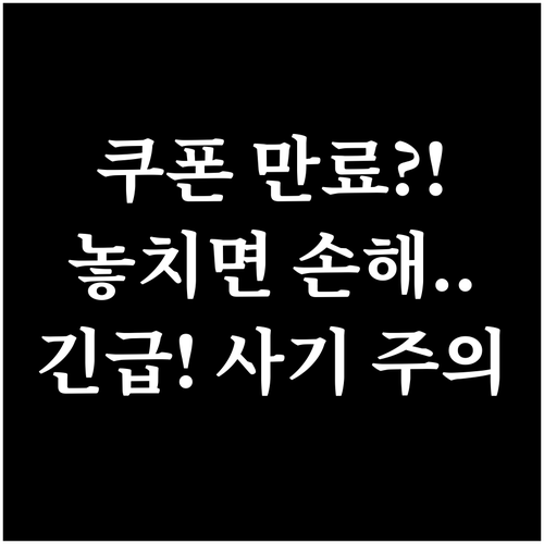 민생회복 소비쿠폰 2차 만료, 사기 ..