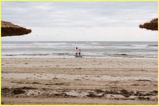 생애최초 주담대