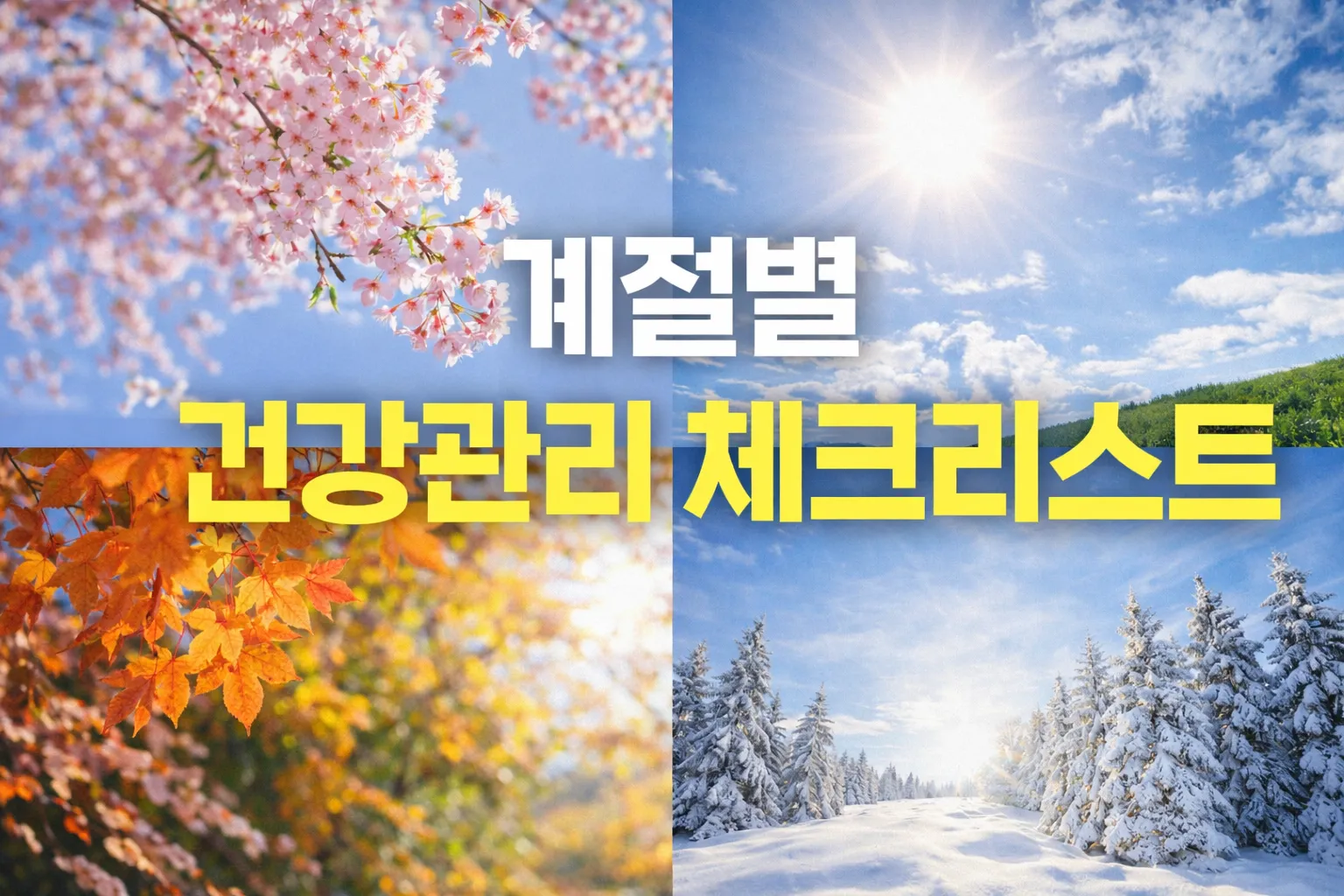 계절별 건강관리 체크리스트