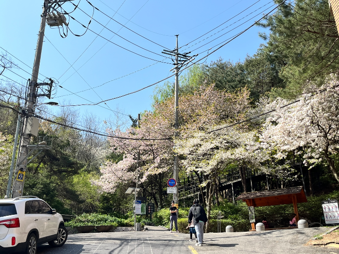 안산 등산로 입구