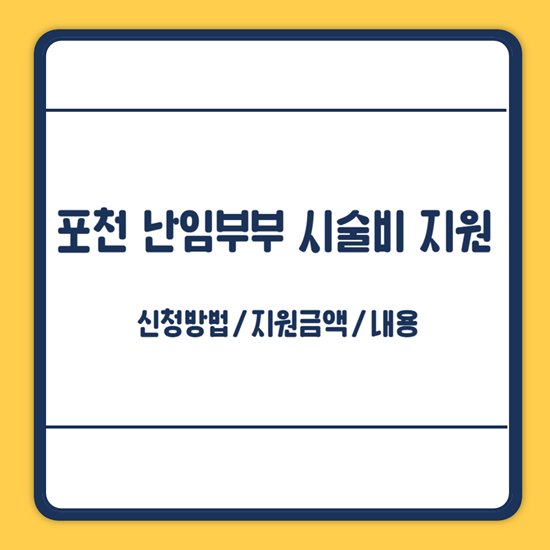 포천시 난임부부 지원