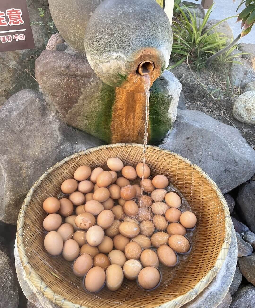 벳푸 효탄온천 이용방법 및 예약방법 (찐후기!)