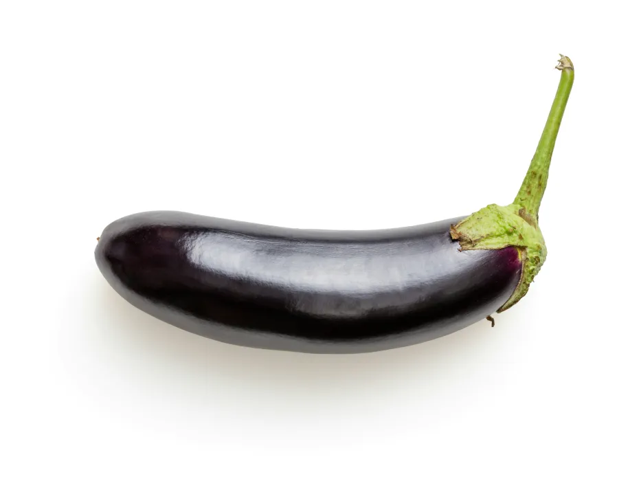 가지-사진