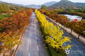 인천 가볼만한곳 베스트10 - 인천대공원