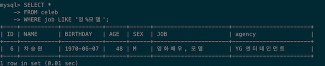 SQL LIKE 연산자 %패턴 예제2