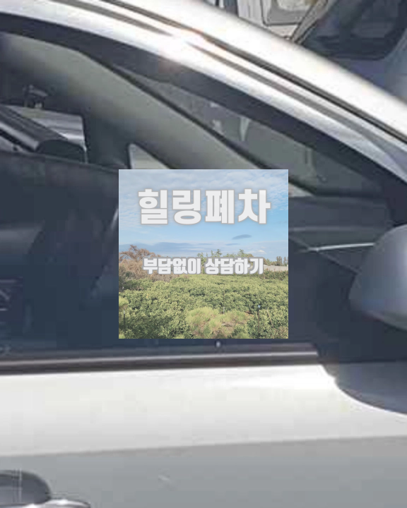말소 후 자동차세 정리 확인