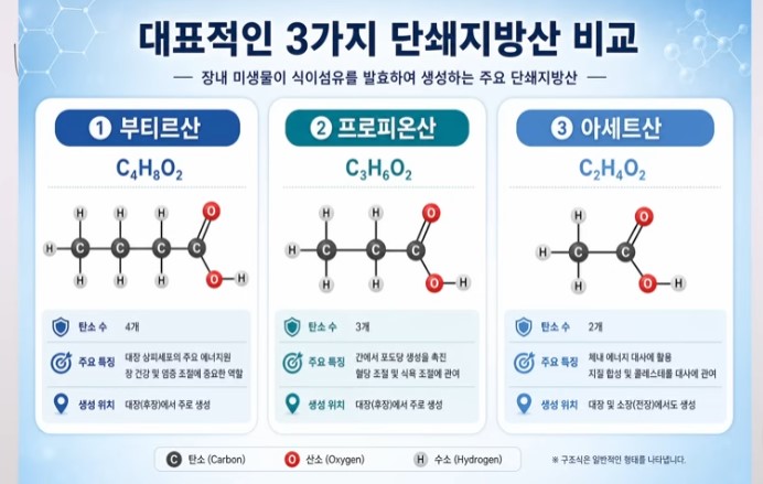 단쇄 지방산