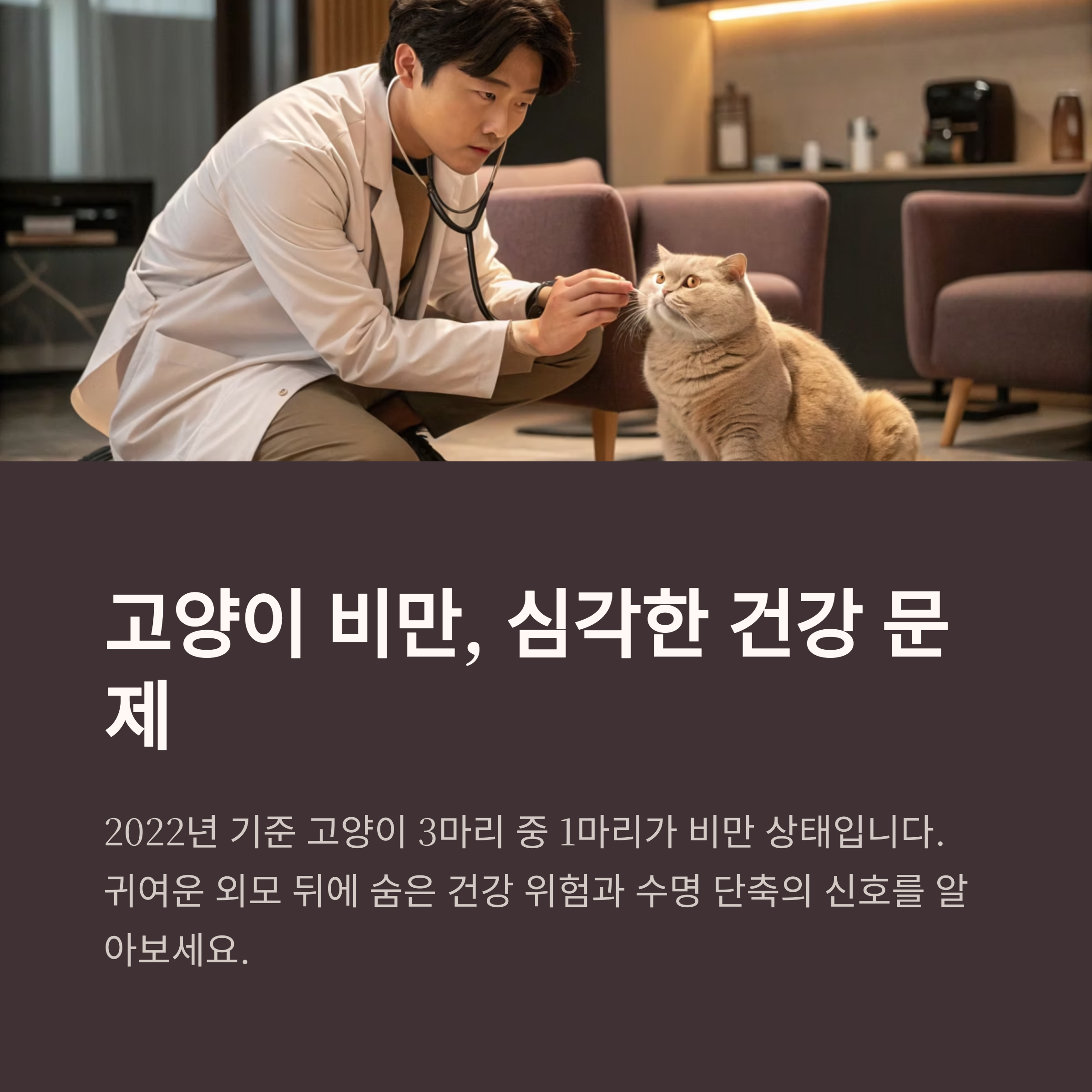 고양이 비만, 심각한 건강 문제