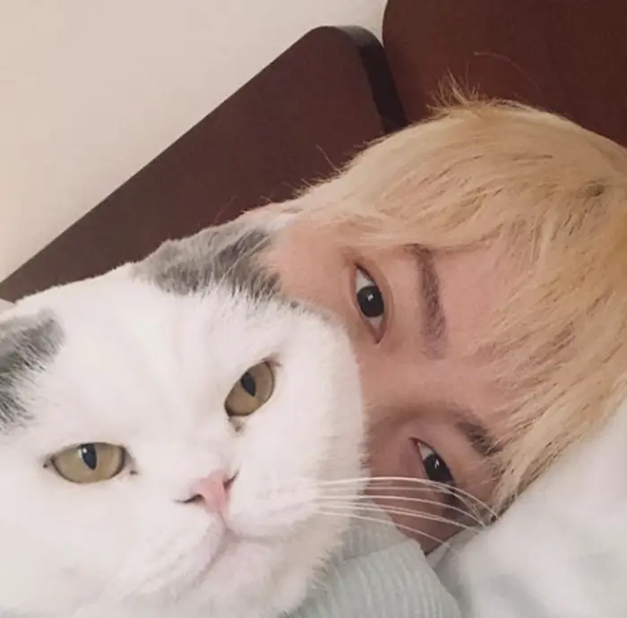 배우-안재현-고양이-사진