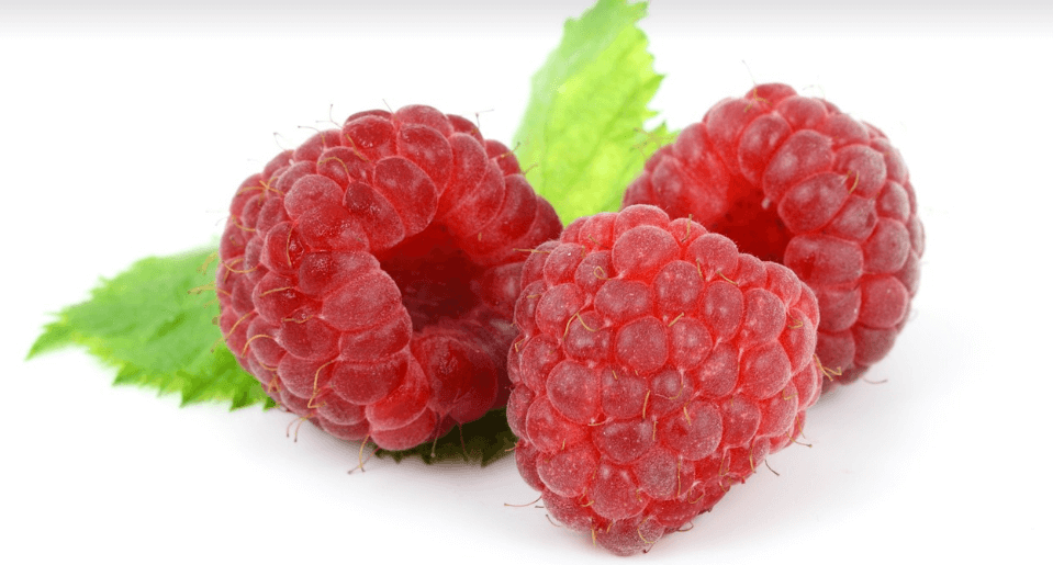 산딸기 사진 - 7