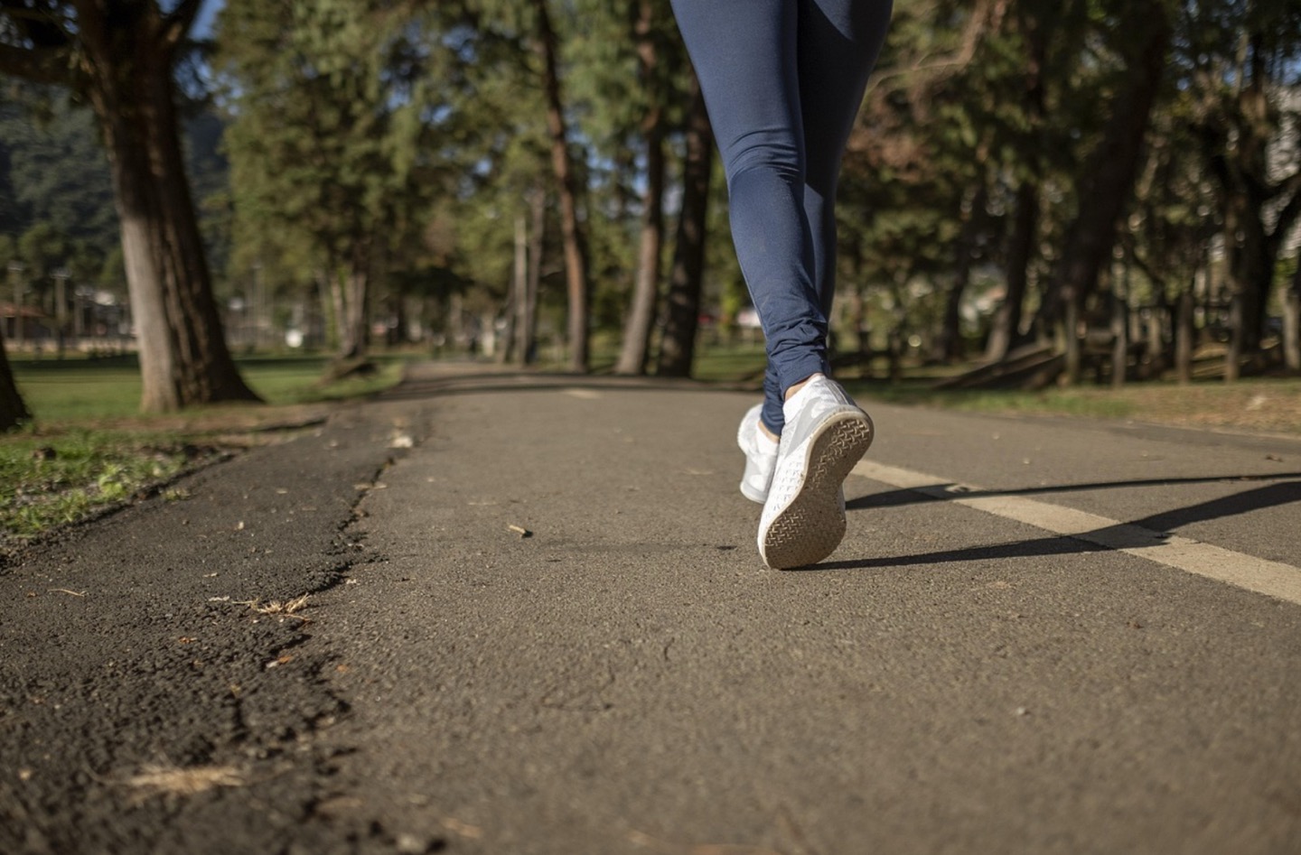 식욕이 사라진다? 위고비 1~4주차 리얼 후기