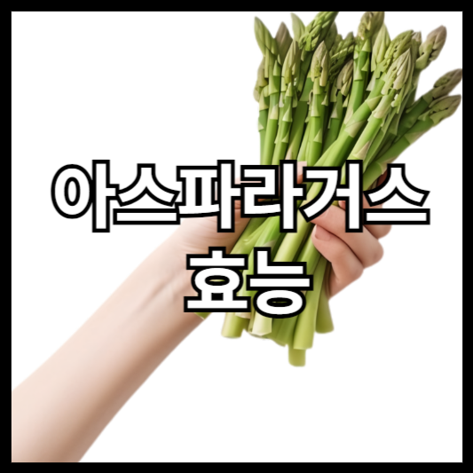 아스파라거스 효능