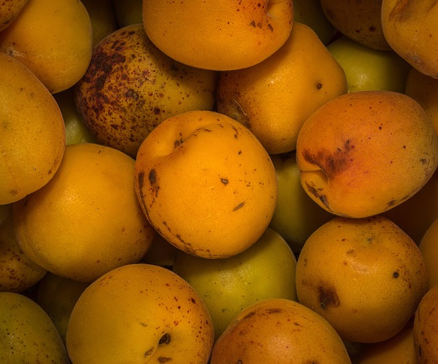 장염 회복 음식 추천 BEST5