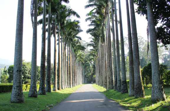 계절마다 다른 얼굴을 가진 도시