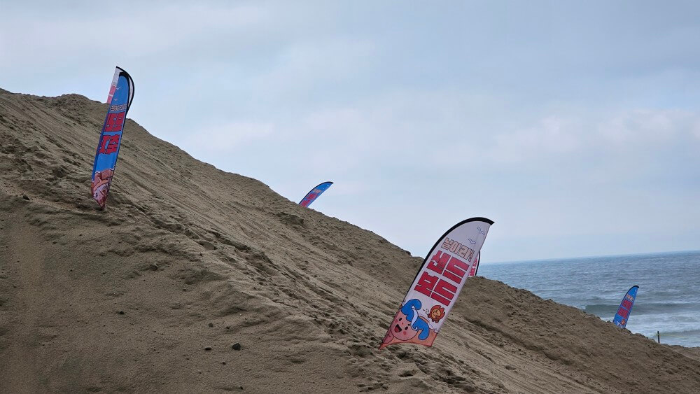 2025 해운대 모래축제 일정 & 주요 프로그램 완벽 정리