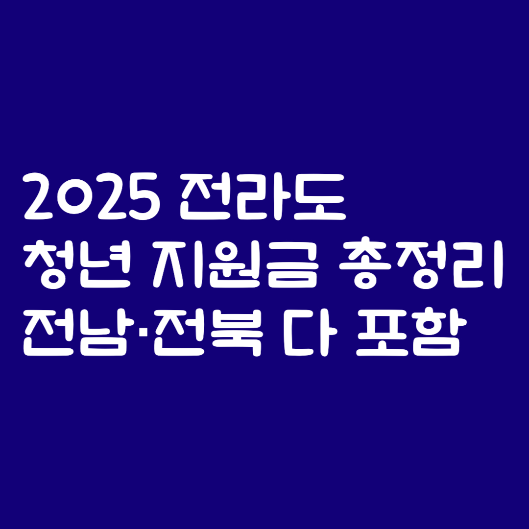 2025 전라도 청년 지원금 총정리