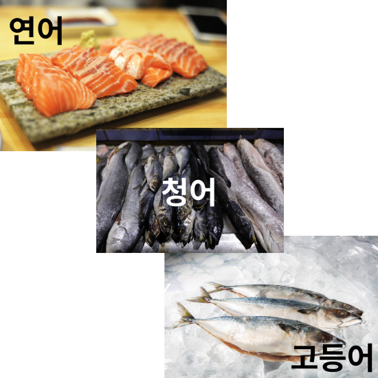 오메가-3 지방산이 풍부한 식품