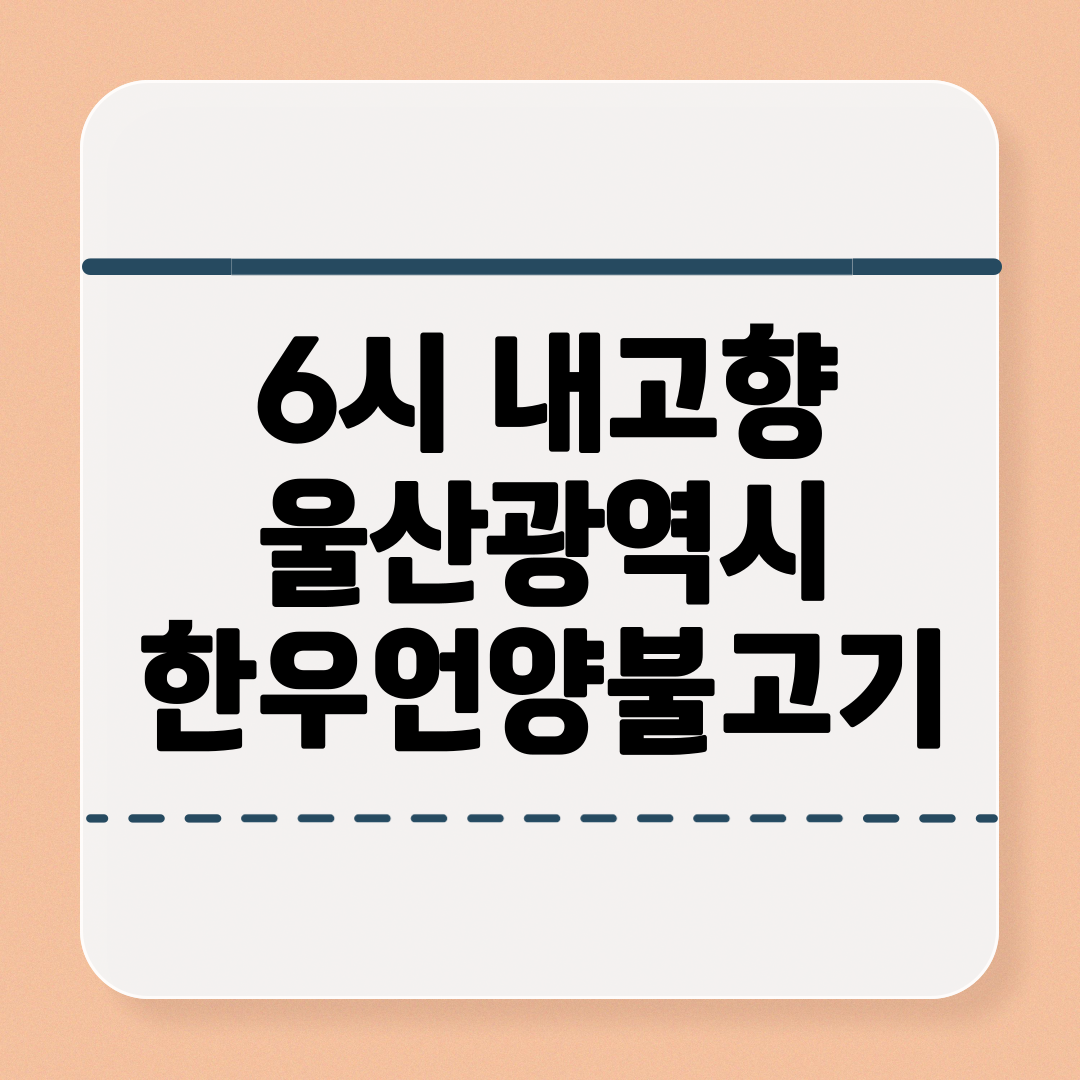 6시 내고향_울산광역시 한우언양불고기 맛 위치 정보