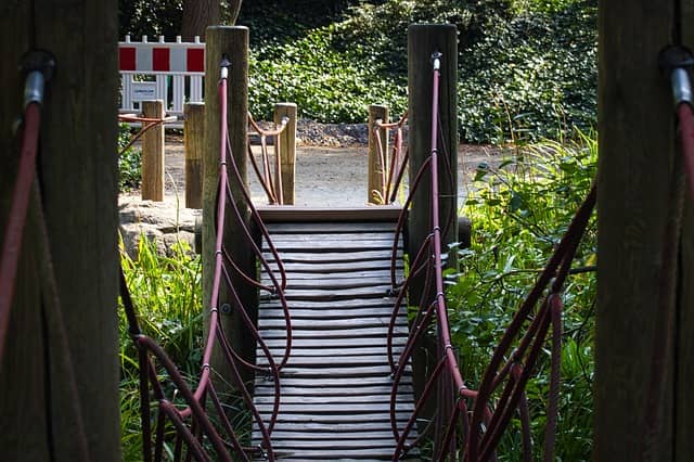 흔들다리, 편도체와 흔들다리 효과, 사랑