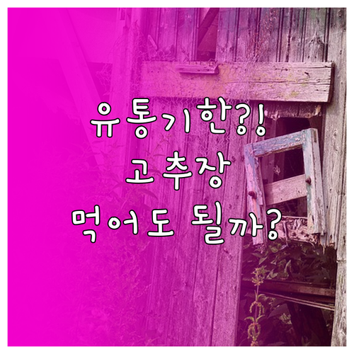 유통기한 지난 고추장 폐기 기준과 섭..