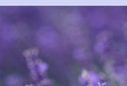 6월 국내 여행지 추천